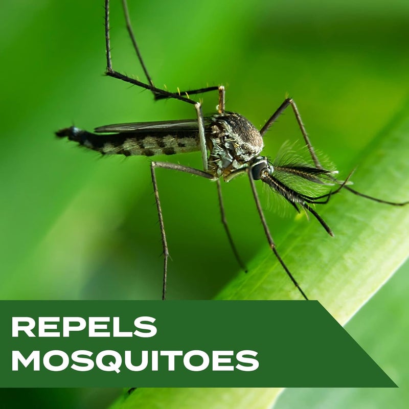 STEM Repels Mosquitoes: Mosquito Repellent Spray With Botanical Extracts; 4 fl oz (Pack Of 1) - Image 1
